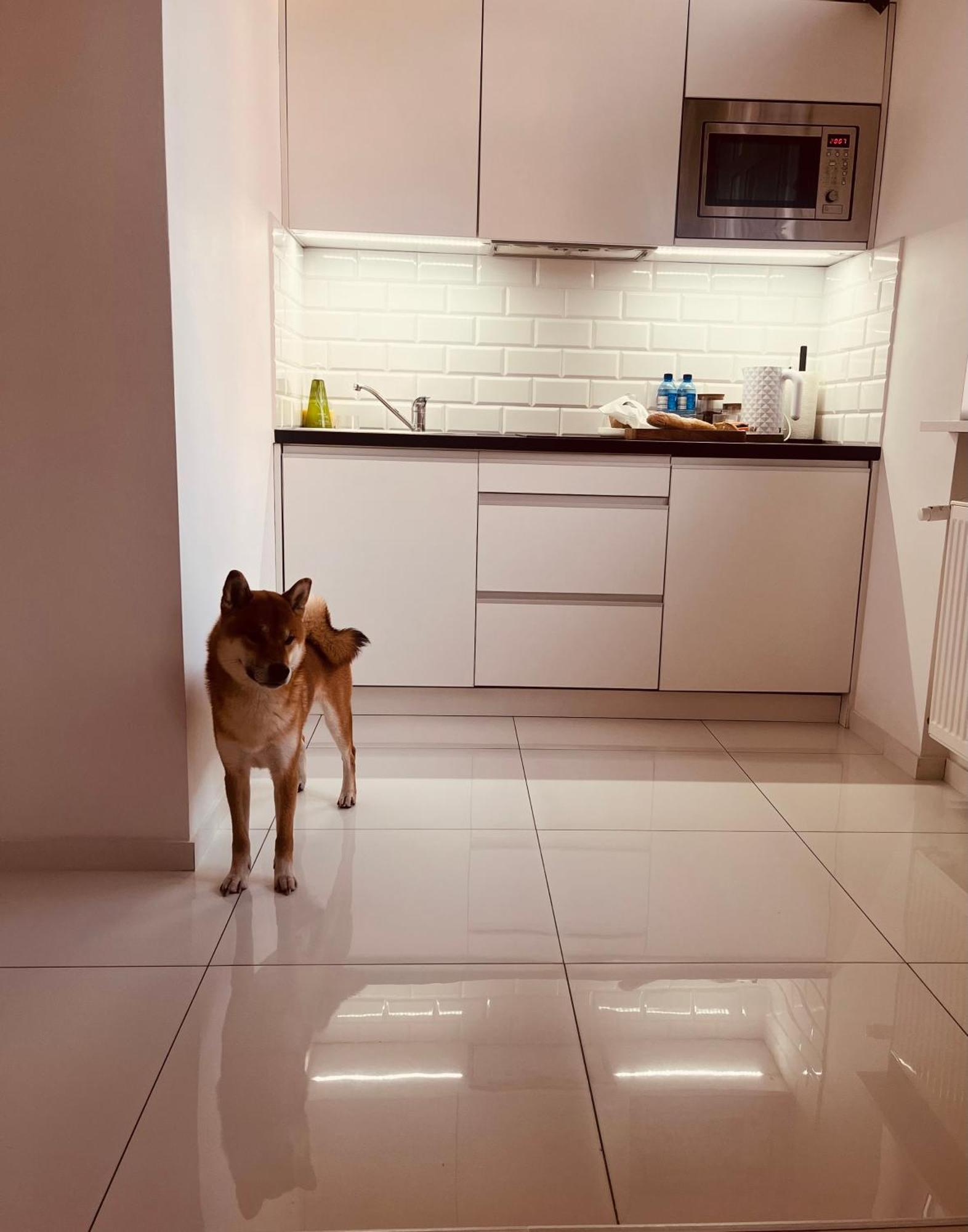 Apartament I Love Piotrkowska Z Wielkim Lustrem, Balkonem I Klimatyzacja Lodž Exteriér fotografie