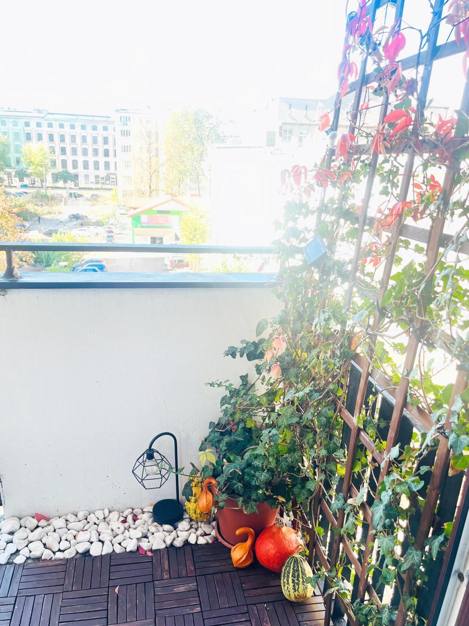 Apartament I Love Piotrkowska Z Wielkim Lustrem, Balkonem I Klimatyzacja Lodž Exteriér fotografie